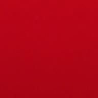 チカ☆*-カブトムシ-aiko