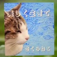 🧷さくらねこ⏰23時30分-オリジナル-