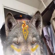 キモチー-Lovers Again-EXILE