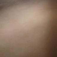 ぷりん😺-ドライフラワー-優里