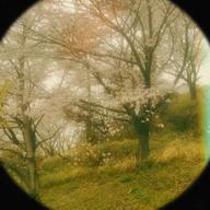 🌿𝓡𝓨𝓞🌿(北関東代表）-桜色舞うころ-清木場俊介