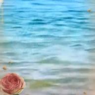 🧷さくらねこ【毎晩25時〜】-fragile-Every Little Thing