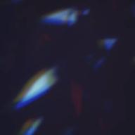 🐶🤯shi-ba🐶-灯火-DUSTCELL