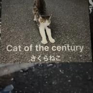 🧷さくらねこ-オリジナル-