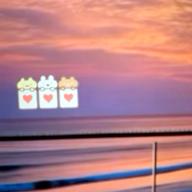 🧷さくらねこ⏰23時30分〜-サザン・ウインド-中森明菜