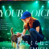 🧷さくらねこ⏰23時30分-Everything-MISIA