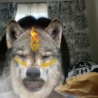 リアムᯤ̣-Freak It! Feat.東京スカパラダイスオーケストラ-MAN WITH A MISSION