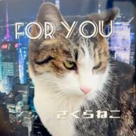 🧷さくらねこ【2430〜25】-オリジナル-