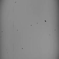 🌸桜木❇翔太🌸-ブルーアンバー-back number