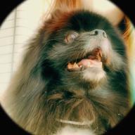 𓅿aYu🥚ᩚ⋆꙳𝜗𝜚꙳-オリジナル-