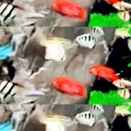 🧷さくらねこ⏰23時30分〜-TATTOO-清春