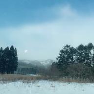 ☃️🍱YA-KO🌵🕶🌵-QUEEN-Kanaria