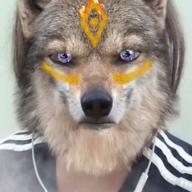 ちぃ🐾🐣-Cry Baby-Official髭男dism