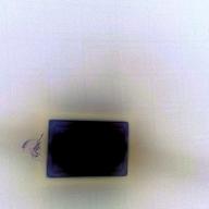 5555-エロティカ・セブン-サザンオールスターズ