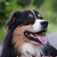 🐍高校生教師🐍-愛し君へ-森山直太朗