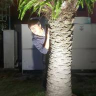 よっしー-ひまわりの約束-秦 基博(ハタ・モトヒロ)