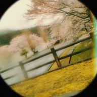 ほーく😪-息子-奥田民生