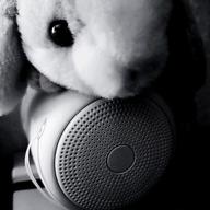 みつばち-ハニージェットコースター-なすお☆