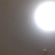 たまちゃん-恋しくて-BEGIN