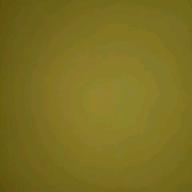 ここたぬ-奇跡-シェネル