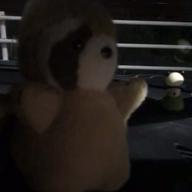 たぬきのポン太🌟-何も言えなくて…夏-JAYWALK