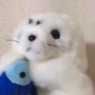 ちゃもえ-君の知らない物語-supercell