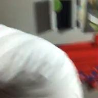 ぬこ噛みとしし-恋愛裁判-40mP