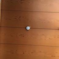 imonegi-まちがいさがし-菅田将暉