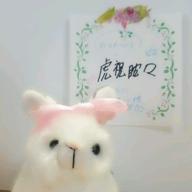 恋歌🐰🐱-虎視眈々-梅とら