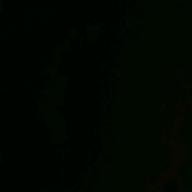 おかん猿-大空と大地の中で-松山千春