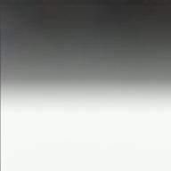 みやこ385-茎-椎名林檎