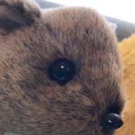 punimaru-真夏の果実-サザンオールスターズ