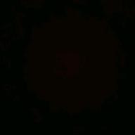 白夜ですが。-僕が死のうと思ったのは-中島美嘉