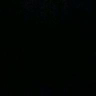 間澄ひつき-夢の島思念公園-平沢進