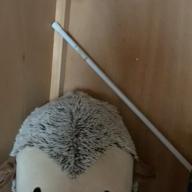 mami-世界でいちばん熱い夏(平成レコーディング)-PRINCESS PRINCESS