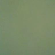 のんた🙃-Forget-me-not-尾崎豊