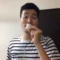 かしわだじゅんや🇦🇺-サボテンの花-チューリップ