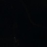 ぐーたん💖-フレンズ-レベッカ