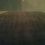 にくずきん-白日-King Gnu