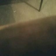 にくずきん-サタデー・ナイト・クエスチョン-中島 愛