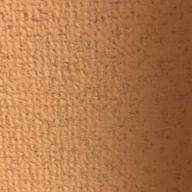 のんた🙃-白い雲のように-猿岩石