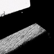 (ohひつじ)-BASKET CASE-GREEN DAY