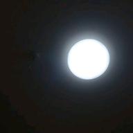 akira-ハナミズキ-一青窈