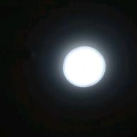 akira-TRUE LOVE-藤井フミヤ