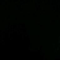 髙𣘺88-三線の花-BEGIN