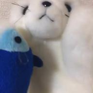 ちゃもえ-たからもの-河野マリナ