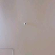 ハロオタ-ハナミズキ-一青窈