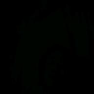 りえぴょん-さよならの向う側-山口百恵