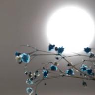 くろべだむ-カンナ8号線-松任谷由実