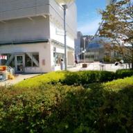 姫ちゃん-アンパンマンのマーチ-ドリーミング